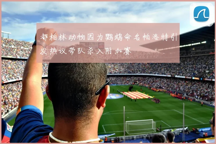 都柏林动物园为鹦鹉命名帕洛特引发热议带队杀入附加赛