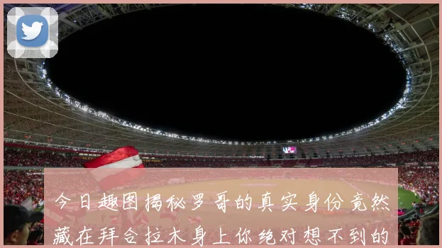 今日趣图揭秘罗哥的真实身份竟然藏在拜合拉木身上你绝对想不到的真相