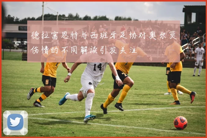 德拉富恩特与西班牙足协对奥尔莫伤情的不同解读引发关注