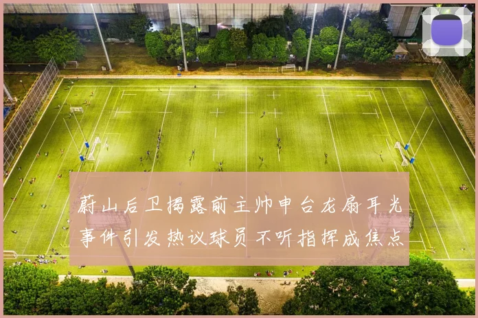 蔚山后卫揭露前主帅申台龙扇耳光事件引发热议球员不听指挥成焦点