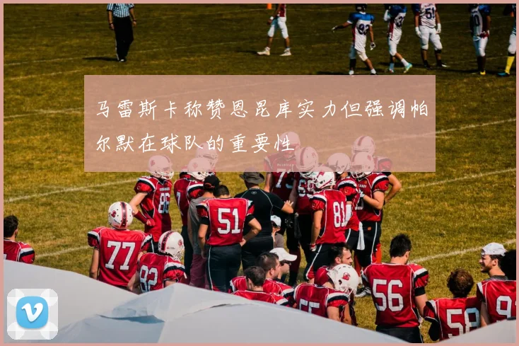 马雷斯卡称赞恩昆库实力但强调帕尔默在球队的重要性